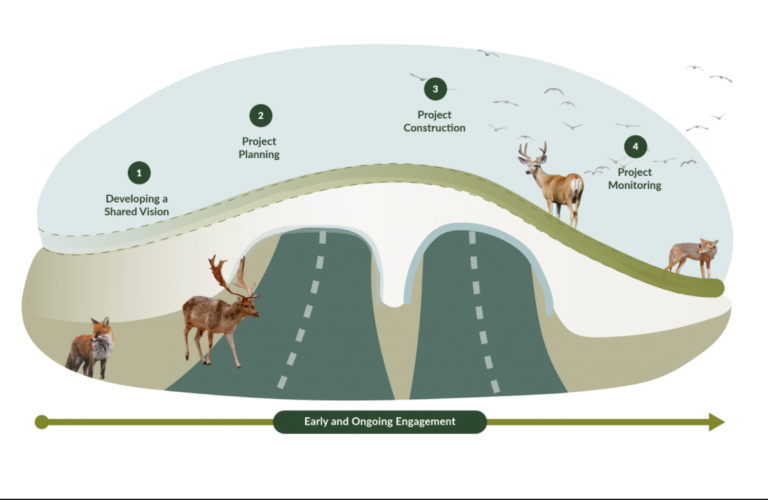 communicating-the-co-benefits-ecological-design-lab