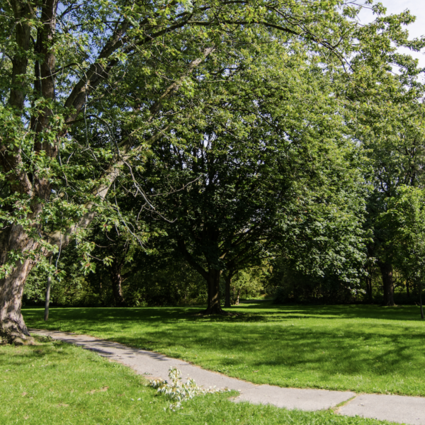 Oshawa Beautiful: Accessing Your Green Spaces