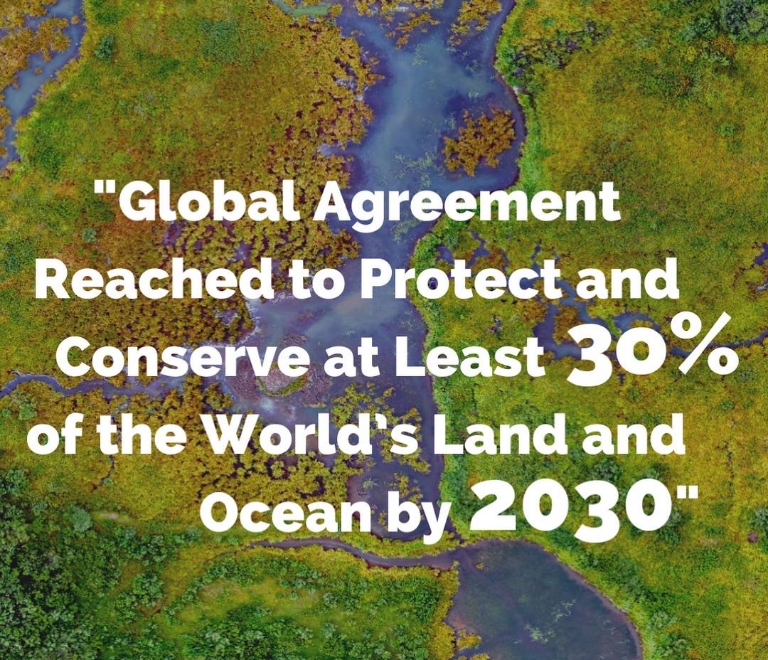 COP15 + Global Agreement Reached to Protect Nature!