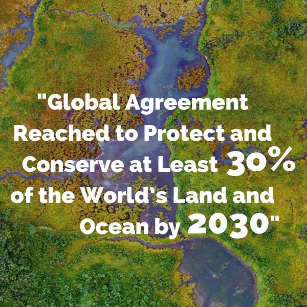 COP15 + Global Agreement Reached to Protect Nature!