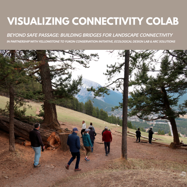 Visualizing Connectivity CoLab, Beyond Safe Passage: Building Bridges for Landscape Connectivity