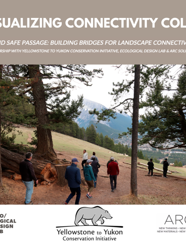 Visualizing Connectivity CoLab, Beyond Safe Passage: Building Bridges for Landscape Connectivity