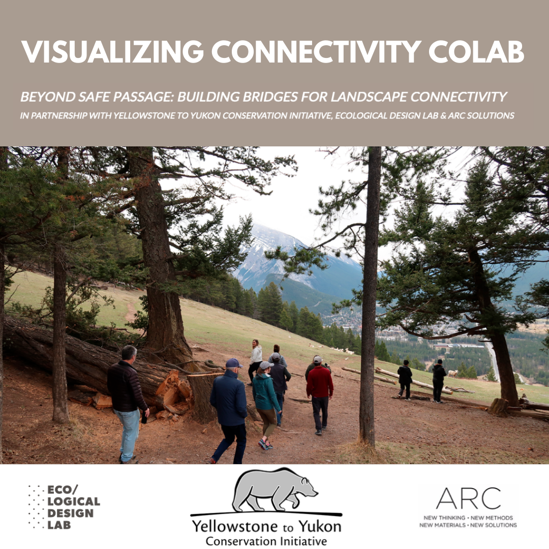 Visualizing Connectivity CoLab, Beyond Safe Passage: Building Bridges for Landscape Connectivity
