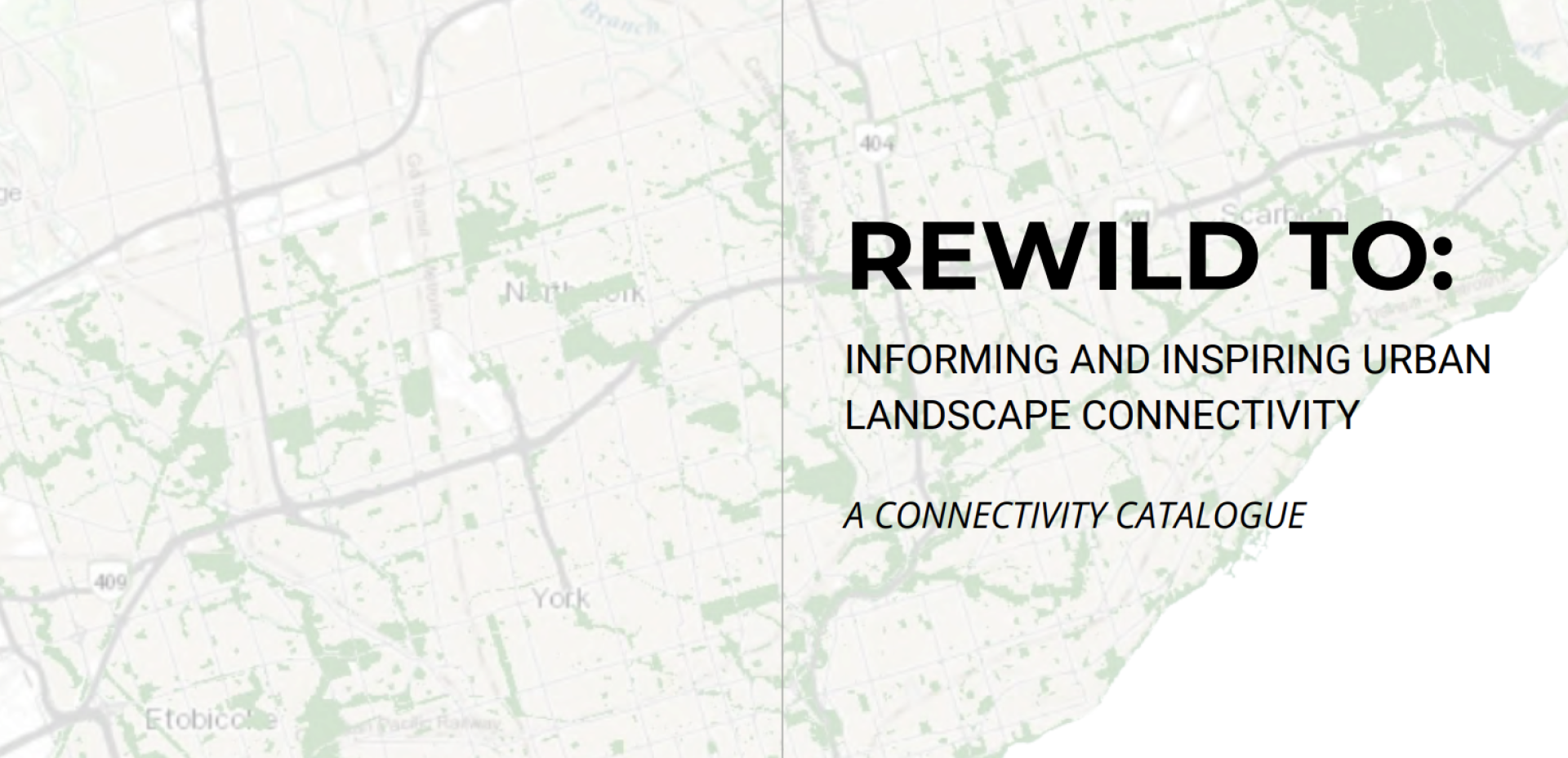 REWILD TO