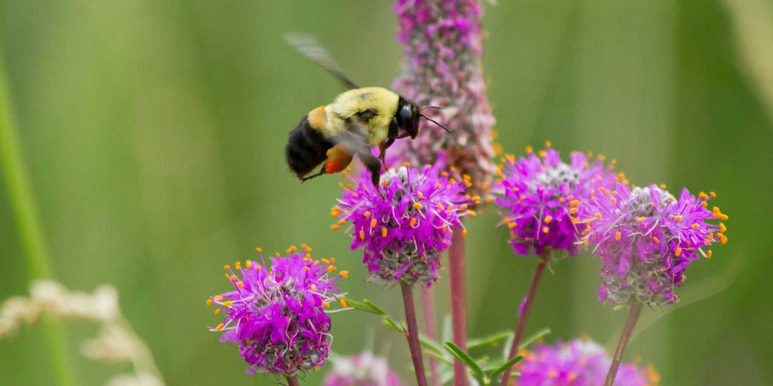 BUZZING ALONG THE WATERFRONT